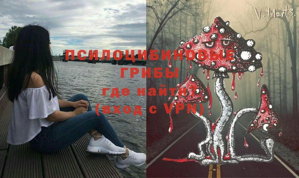 spice Абинск