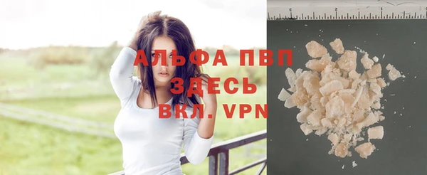прущие грибы Абдулино
