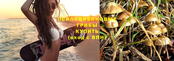 СК Абаза