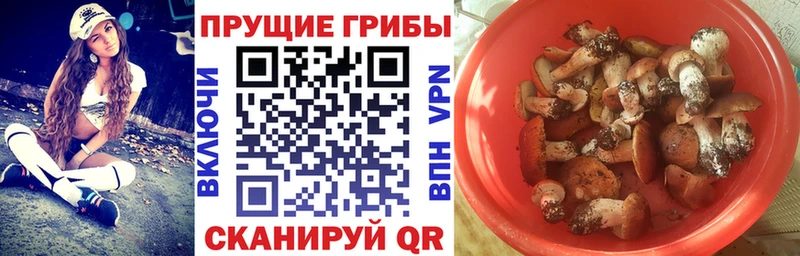 Галлюциногенные грибы прущие грибы Нижневартовск